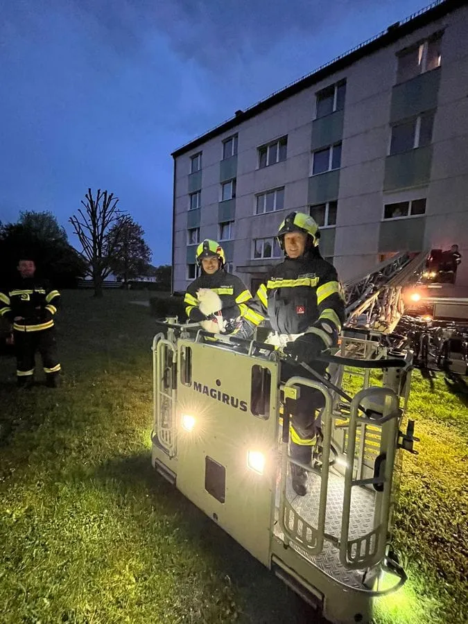 TIERRETTUNG – Bild 2